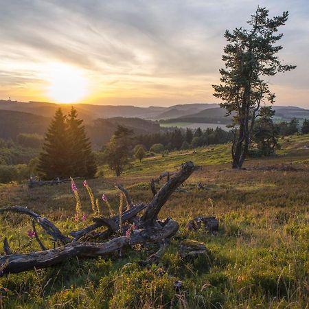 Fewo Poenblick Віллінген Екстер'єр фото
