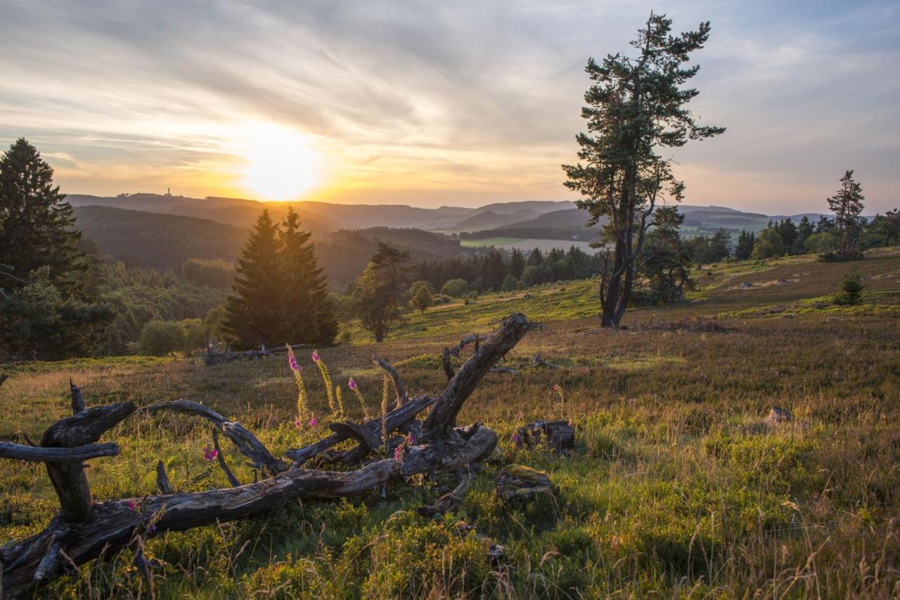 Fewo Poenblick Віллінген Екстер'єр фото